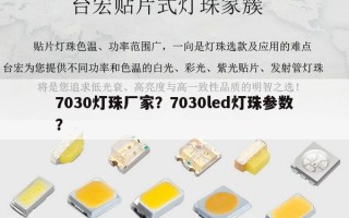 7030灯珠厂家？7030led灯珠参数？