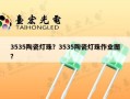 3535陶瓷灯珠？3535陶瓷灯珠作业图？