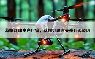 草帽灯珠生产厂家，草帽灯珠微亮是什么原因