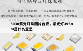 3030紫光灯珠图片台宏，紫光灯395nm是什么意思