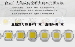 直插式灯珠生产厂家，直插led厂家