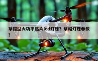 草帽型大功率贴片led灯珠？草帽灯珠参数？