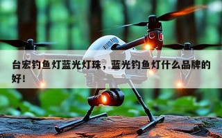 台宏钓鱼灯蓝光灯珠，蓝光钓鱼灯什么品牌的好！