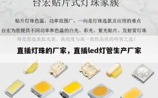 直插灯珠的厂家，直插led灯管生产厂家