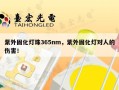 紫外固化灯珠365nm，紫外固化灯对人的伤害！