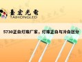 5730正白灯珠厂家，灯珠正白与冷白区分