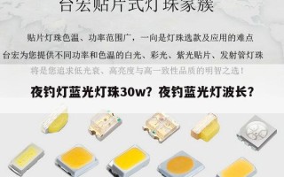 夜钓灯蓝光灯珠30w？夜钓蓝光灯波长？