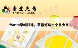 f5mm草帽灯珠，草帽灯珠一个多少瓦