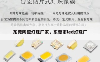 东莞陶瓷灯珠厂家，东莞市led灯珠厂
