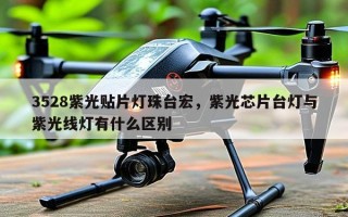 3528紫光贴片灯珠台宏，紫光芯片台灯与紫光线灯有什么区别