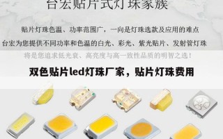 双色贴片led灯珠厂家，贴片灯珠费用