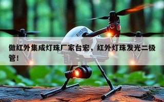 做红外集成灯珠厂家台宏，红外灯珠发光二极管！