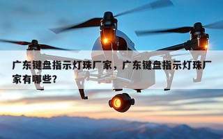 广东键盘指示灯珠厂家，广东键盘指示灯珠厂家有哪些？