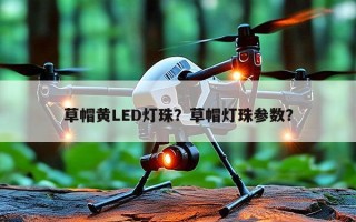 草帽黄LED灯珠？草帽灯珠参数？