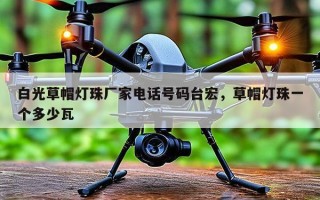 白光草帽灯珠厂家电话号码台宏，草帽灯珠一个多少瓦