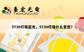 5730灯珠蓝光，5730灯珠什么意思？