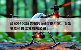 台宏0402绿光贴片led灯珠厂家，台宏节能科技江苏有限公司！