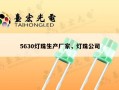 5630灯珠生产厂家，灯珠公司