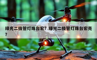 绿光二极管灯珠台宏？绿光二极管灯珠台宏亮？