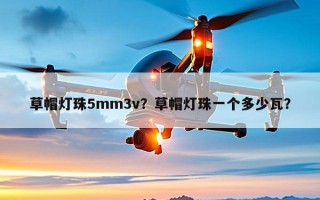草帽灯珠5mm3v？草帽灯珠一个多少瓦？