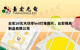 台宏20瓦大功率led灯珠图片，台宏模具制品有限公司