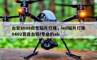 台宏1608白光贴片灯珠，led贴片灯珠0402首选台铭l专业的ab