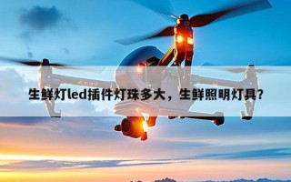 生鲜灯led插件灯珠多大，生鲜照明灯具？