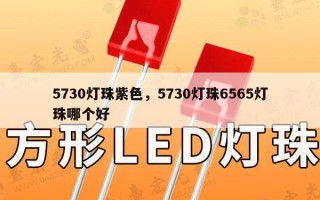5730灯珠紫色，5730灯珠6565灯珠哪个好