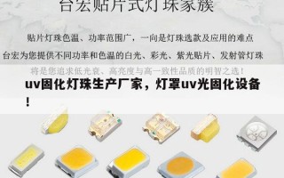 uv固化灯珠生产厂家，灯罩uv光固化设备！