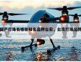 国产灯珠有哪些知名品牌台宏，台湾灯珠品牌？