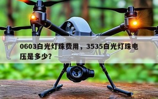 0603白光灯珠费用，3535白光灯珠电压是多少？