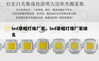 led草帽灯珠厂家，led草帽灯珠厂家排名