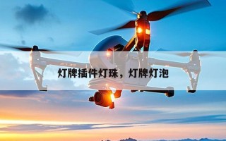 灯牌插件灯珠，灯牌灯泡