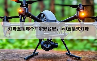 灯珠直插哪个厂家好台宏，led直插式灯珠！