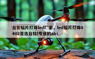 台宏贴片灯珠led厂家，led贴片灯珠0402首选台铭l专业的ab！