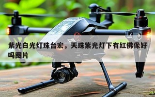 紫光白光灯珠台宏，天珠紫光灯下有红佛像好吗图片