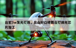 台宏3w发光灯珠，台山好口碑舞台灯调光芯片加工