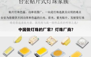 中国做灯珠的厂家？灯珠厂商？
