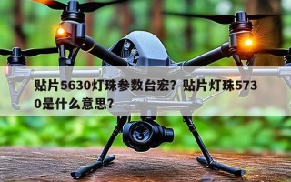 贴片5630灯珠参数台宏？贴片灯珠5730是什么意思？