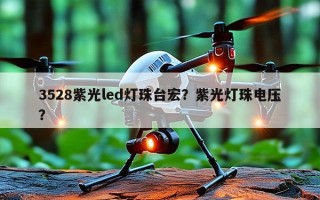 3528紫光led灯珠台宏？紫光灯珠电压？