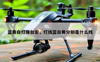 蓝黄白灯珠台宏，灯线蓝白黄分别是什么线