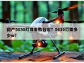 国产5630灯珠参数台宏？5630灯珠多少w？