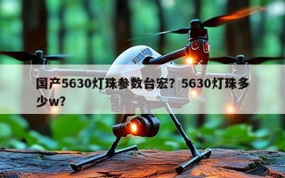 国产5630灯珠参数台宏？5630灯珠多少w？
