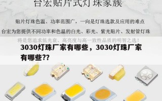 3030灯珠厂家有哪些，3030灯珠厂家有哪些?？