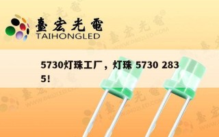 5730灯珠工厂，灯珠 5730 2835！