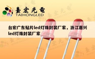 台宏广东贴片led灯珠封装厂家，浙江嘉兴led灯珠封装厂家