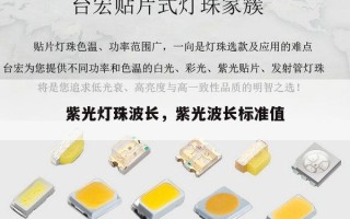 紫光灯珠波长，紫光波长标准值