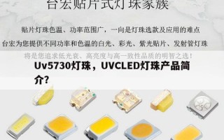 Uv5730灯珠，UVCLED灯珠产品简介？