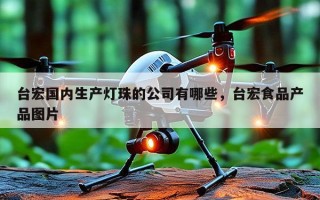 台宏国内生产灯珠的公司有哪些，台宏食品产品图片