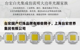 台宏国产灯珠品牌有哪些牌子，上海台宏世界集团有限公司